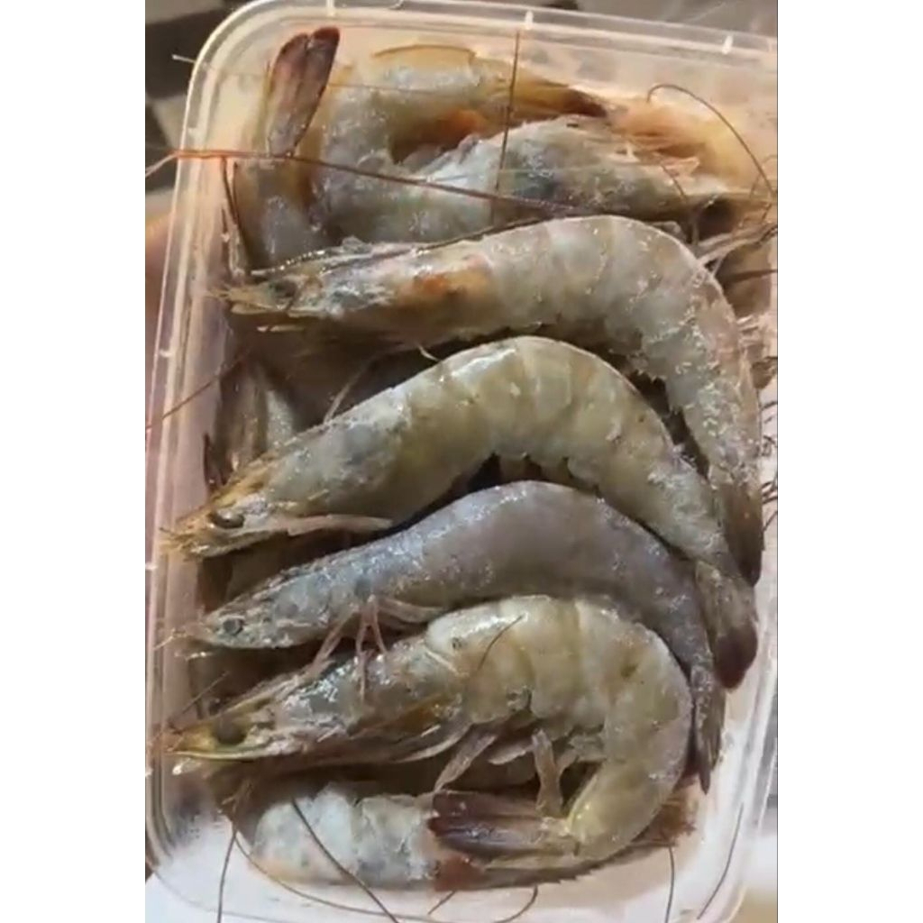 udang vaname size 30