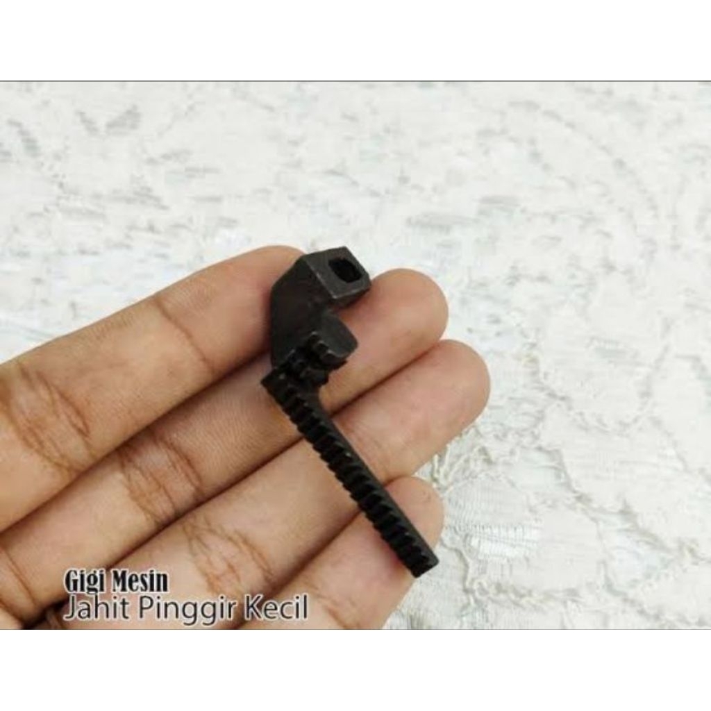 gigi obras kecil, butterfly, singer, Yamato, pegasus