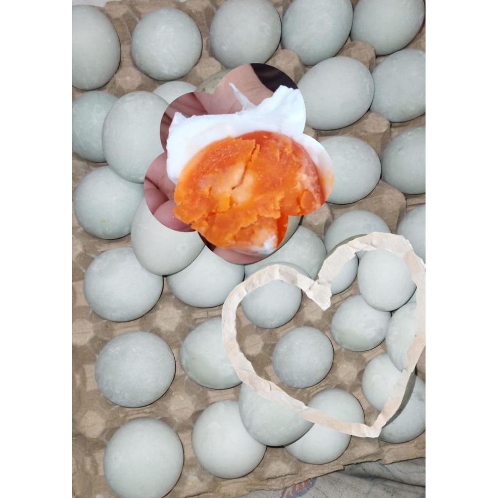 Telur Asin Masir dan Berminyak Asli Pekalongan - Rasa Asin Sedang, Tahan Hingga 2 Minggu