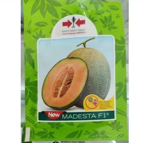 (New Madesta) Benih melon Orange New Madesta cap panah merah