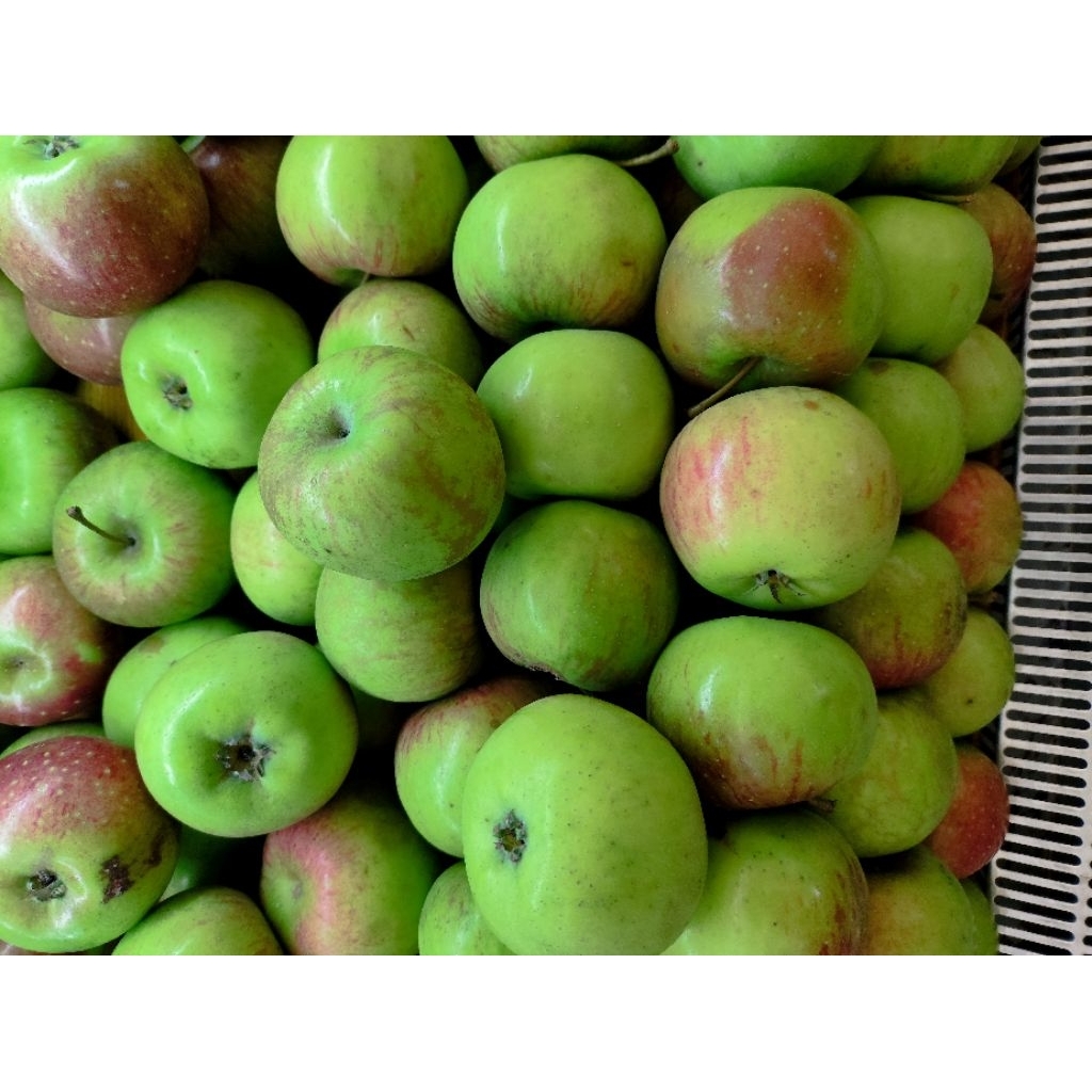 buah apel malang buah apel hijau lokal buah Nusantara 1kg