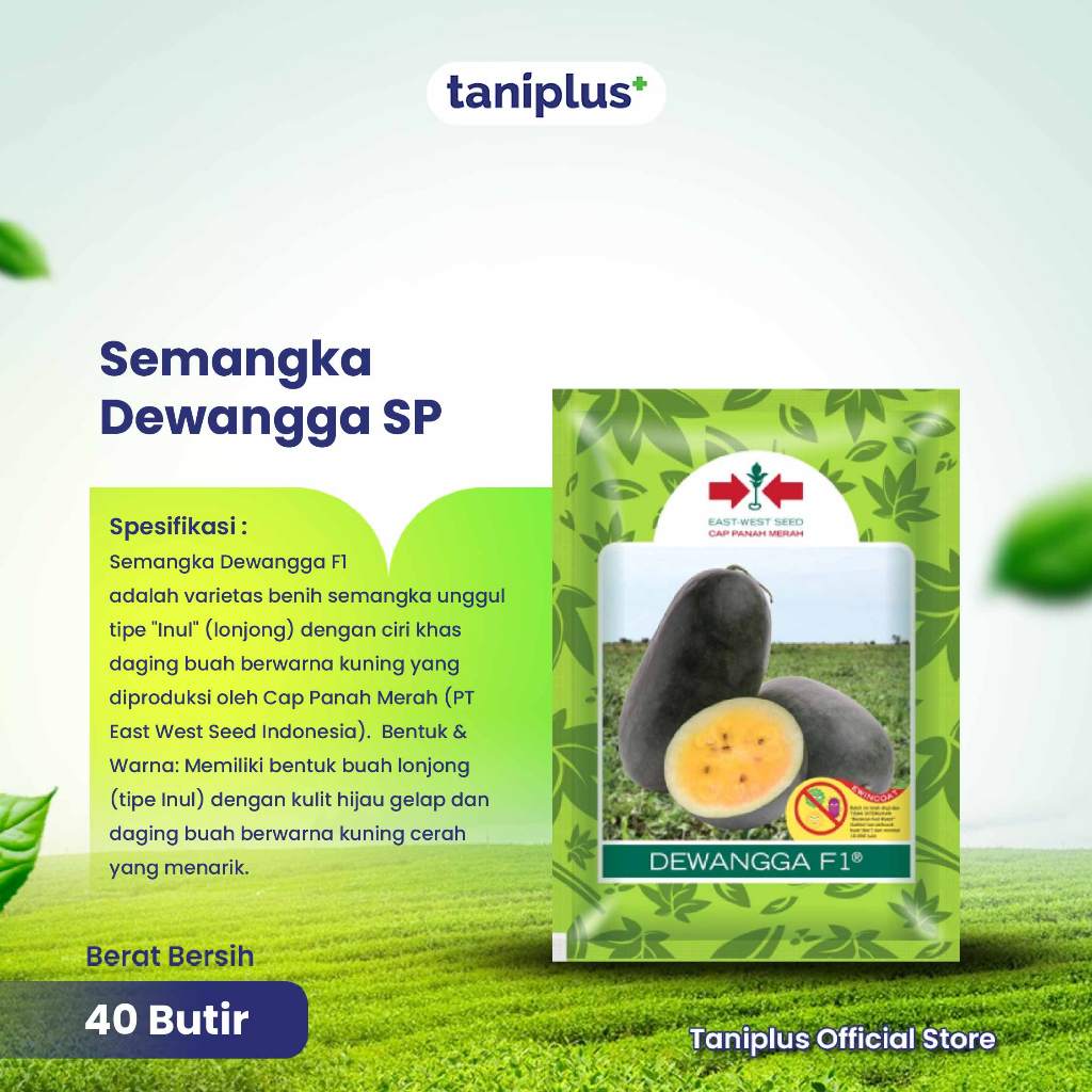 Semangka Dewangga SP 40 Butir - Benih Hortikultura