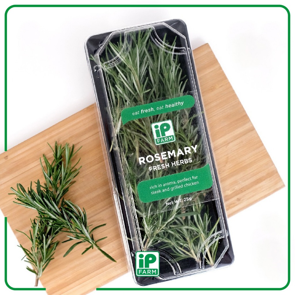 Fresh Rosemary 25gr dan 500gr | Fresh Herbs Rosemary / Daun Rosemary Seger