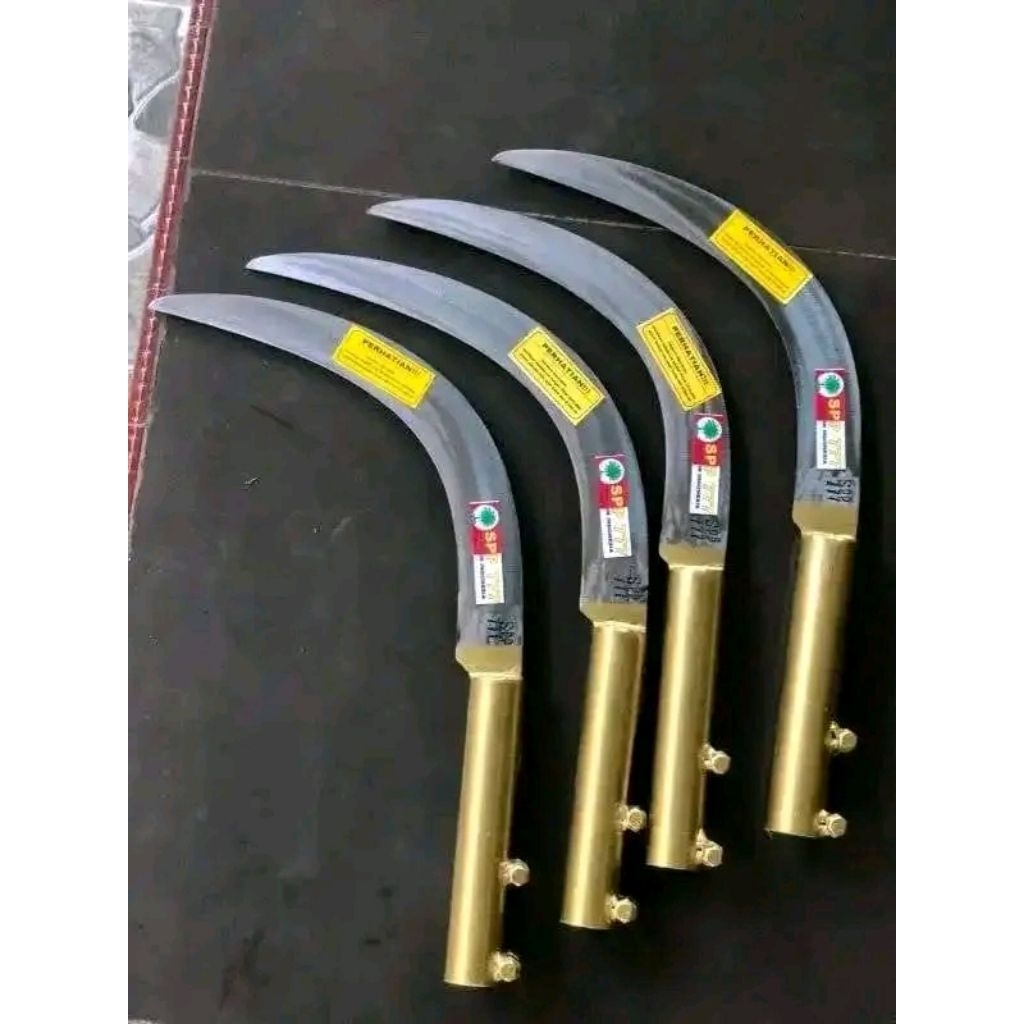 EGREK SAWIT