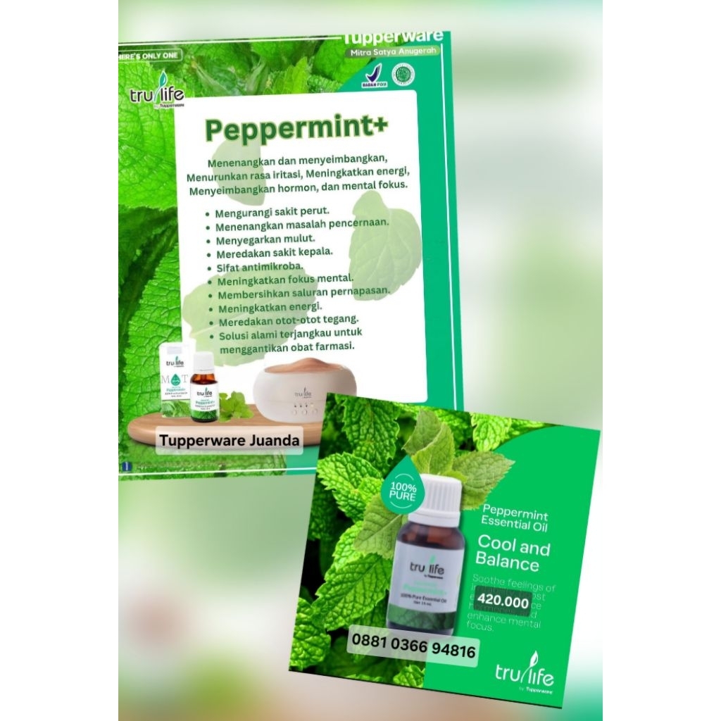 PROM0 Trulife Peppermint essential oil/ 100% murni / Tupperware