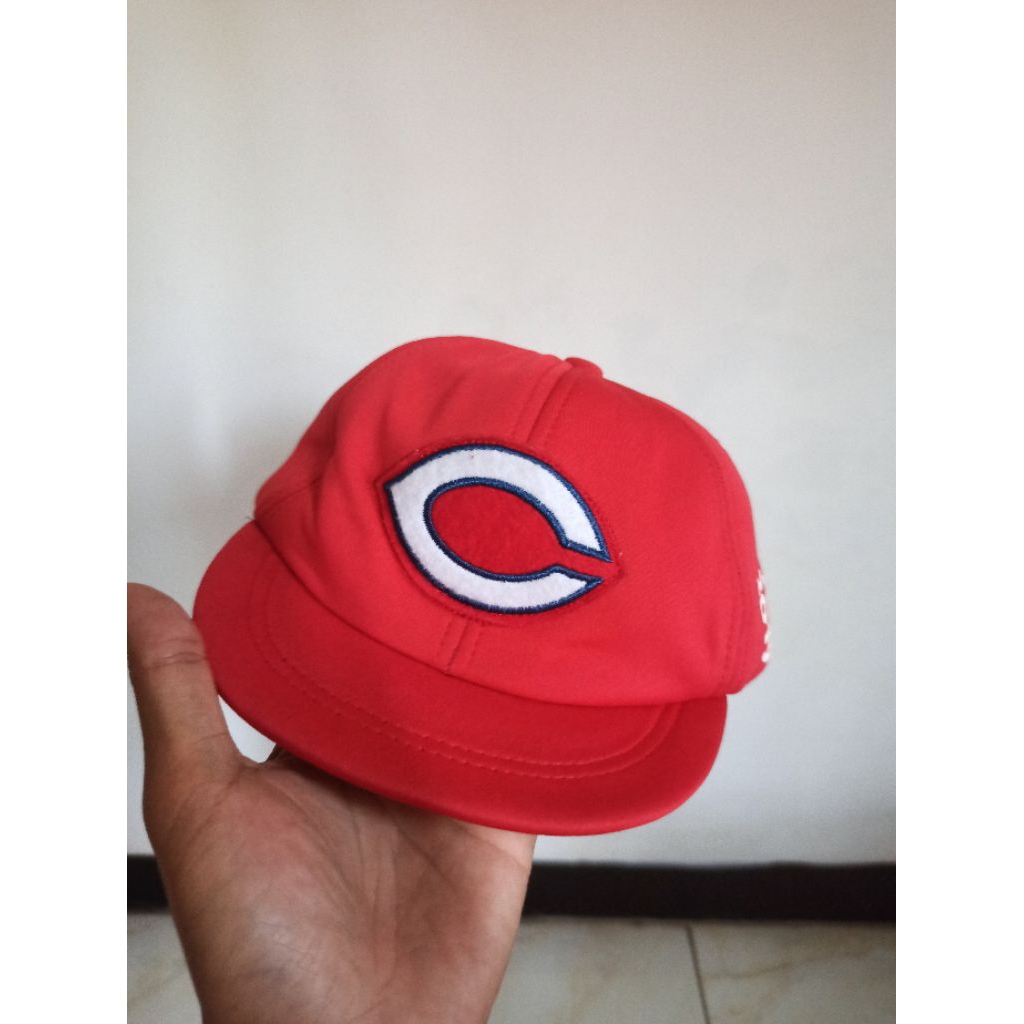 Topi logo C carp