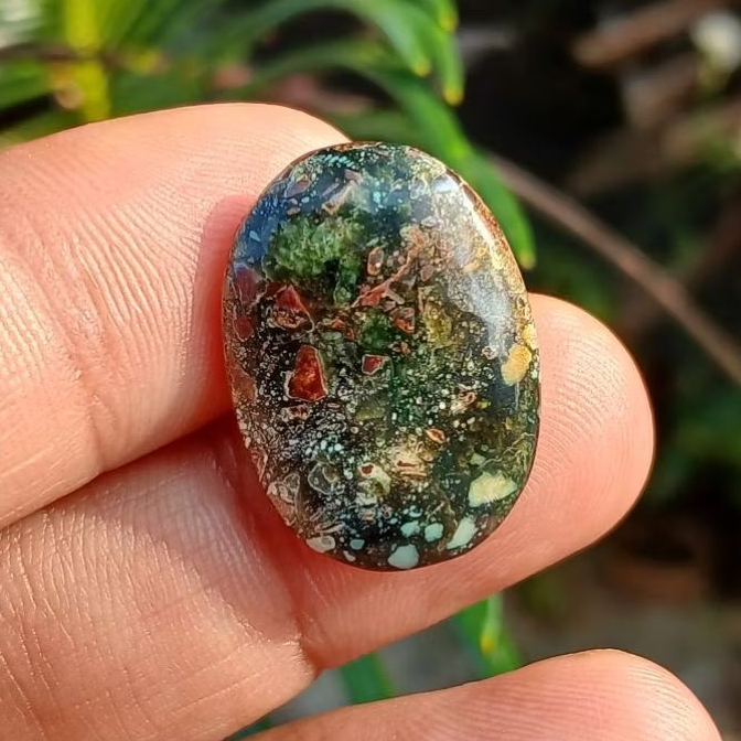pirus Persia ijo unik