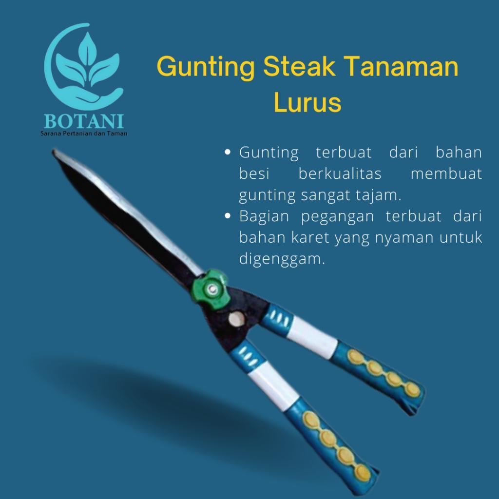 Gunting stek tanaman lurus / Gunting Rumput panjang warna hijau