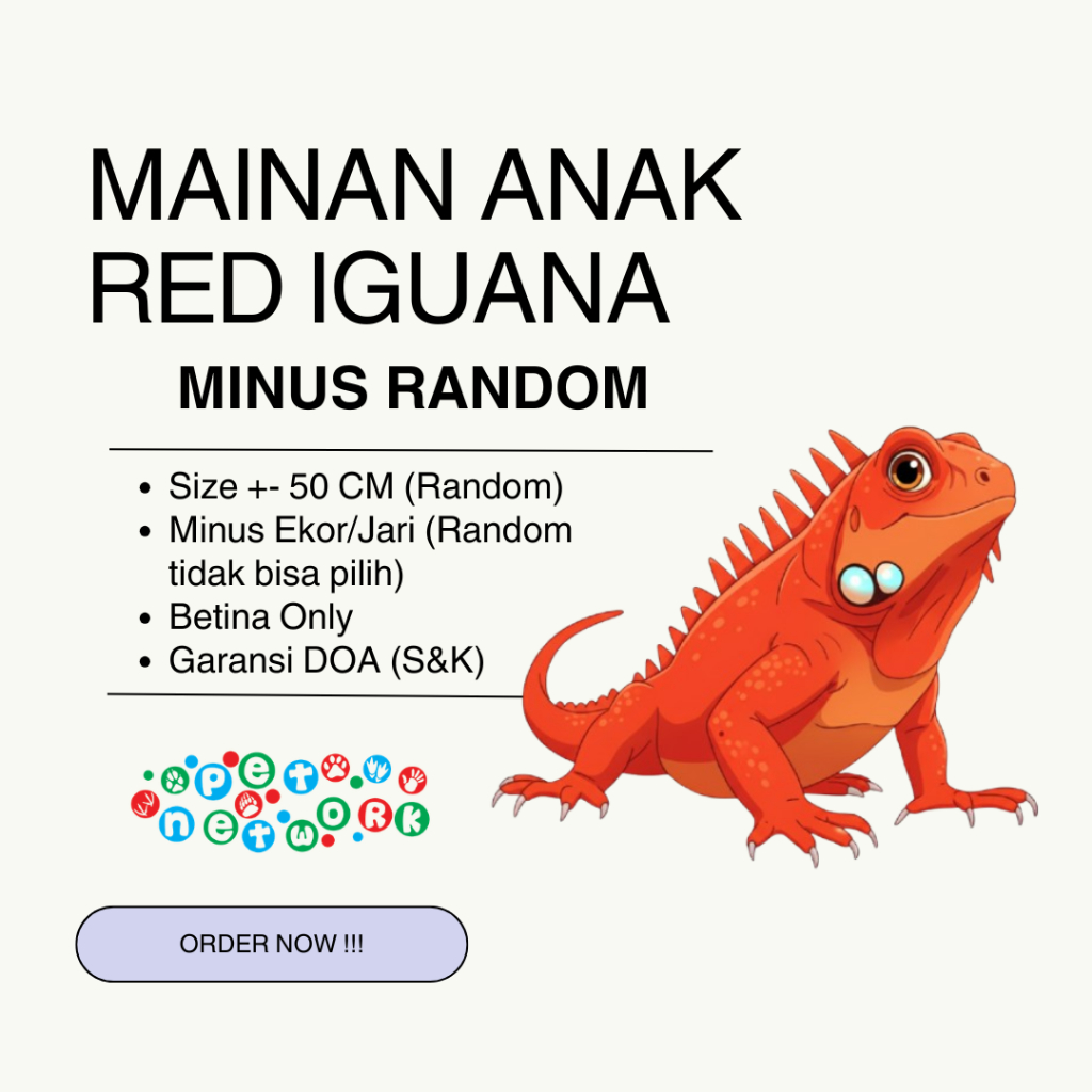 Mainan Anak Iguana Red MINUS Betina +- 50 CM Premium Quality