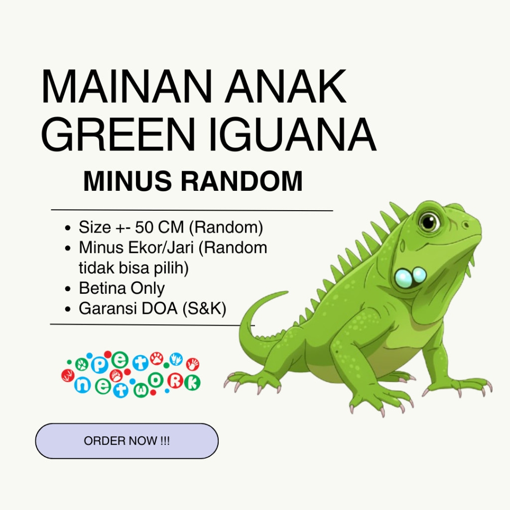 Mainan Anak Green Iguana MINUS Betina +- 50 CM Premium Quality
