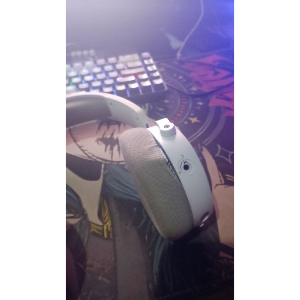 RexusDaxaTS1
