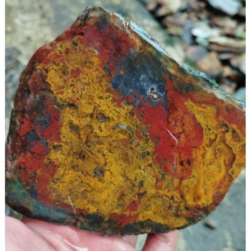 suiseki batu alam bahan batu akik lempengan panca warna abstrak bermotif istimewa natural sesuai gam