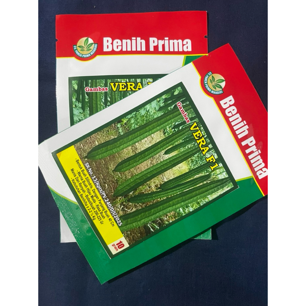 BENIH GAMBAS UNGGULAN VERA F1  BENIH PRIMA