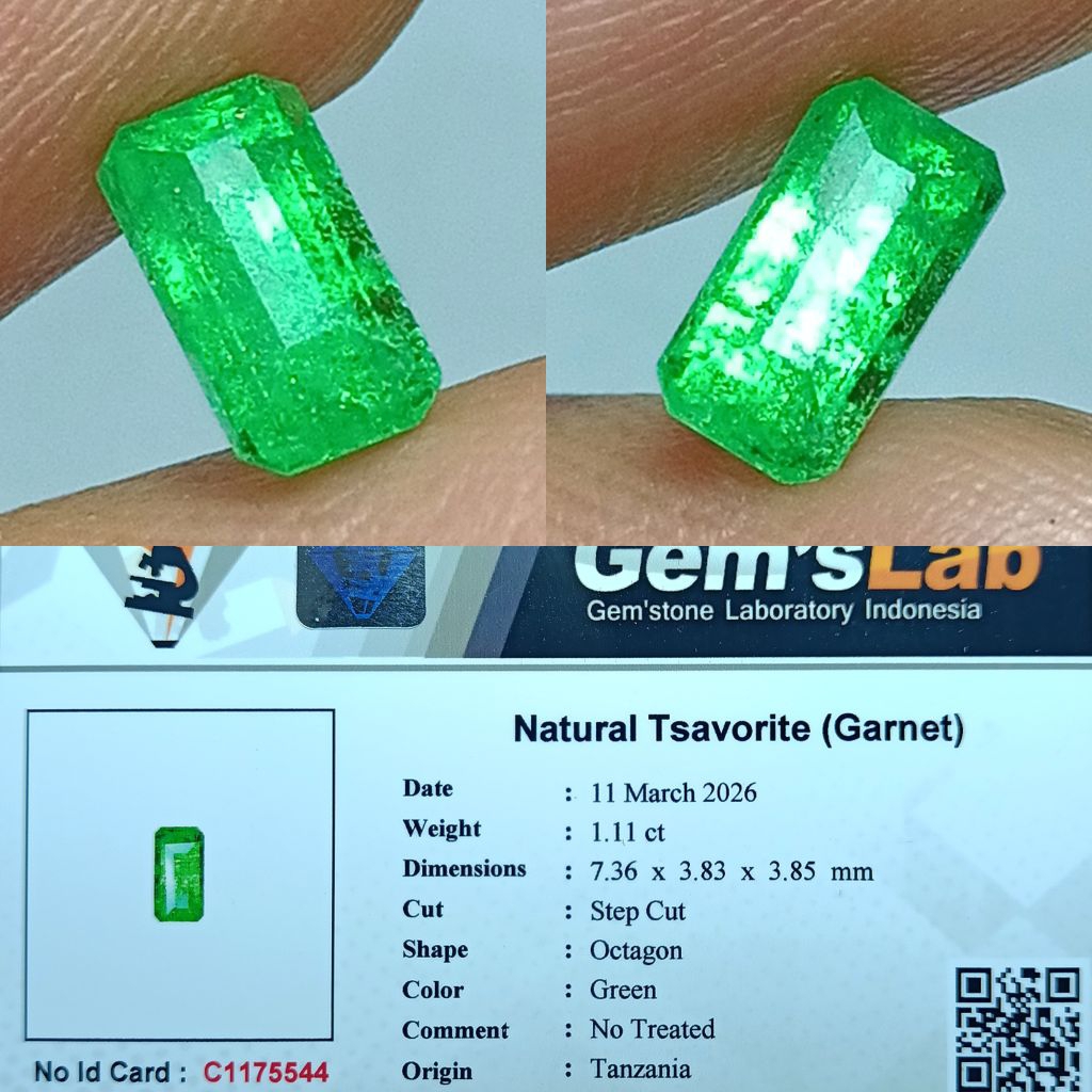 NATURAL TSAVORITE GARNET GREEN GARNET TANZANIA GLI MEMO ID