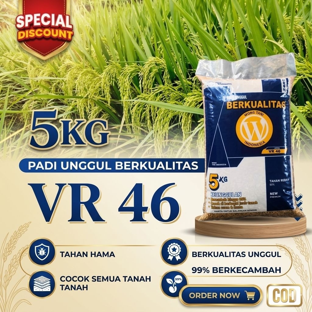 BENIH PADI UNGGUL VR 46