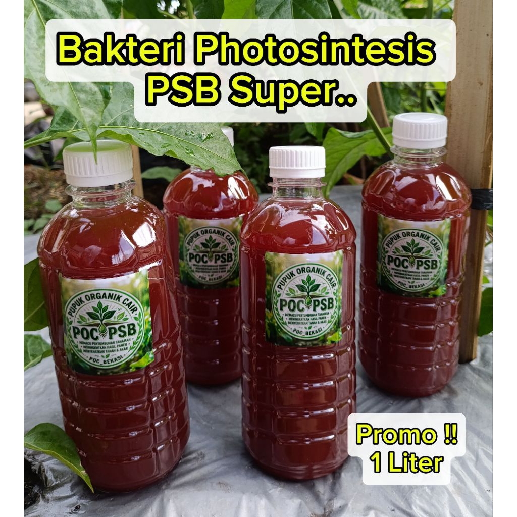 Pupuk Organik Cair PSB 1Liter ||Biang PSB || POC PSB bakteri photosintesis