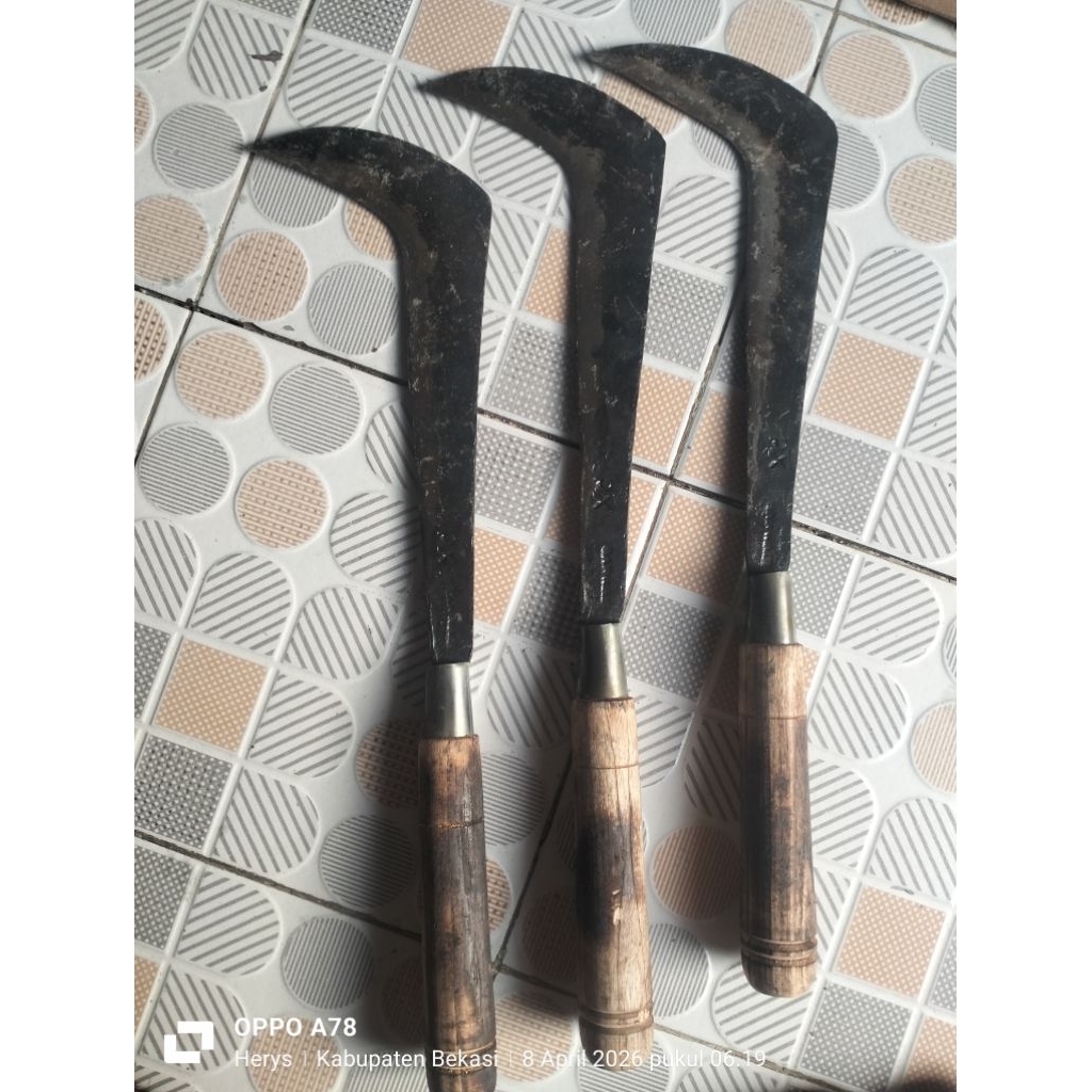 arit/sabit/bendo panjang 29cm alat potong ranting