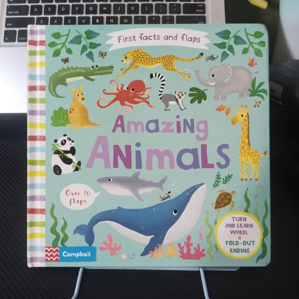 Buku anak boardbook Campbell First Facts and Flaps AMAZING ANIMALS