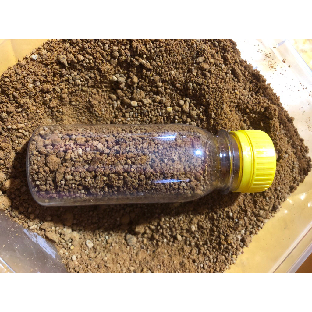 Bee Pollen Lebah Trigona
