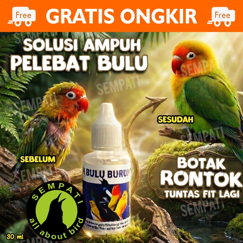 SEMPATI Obat Penumbuh Bulu Burung Sempati Obat Burung Bulu Rontok Patah Mabung Ngurak Moulting Lama 