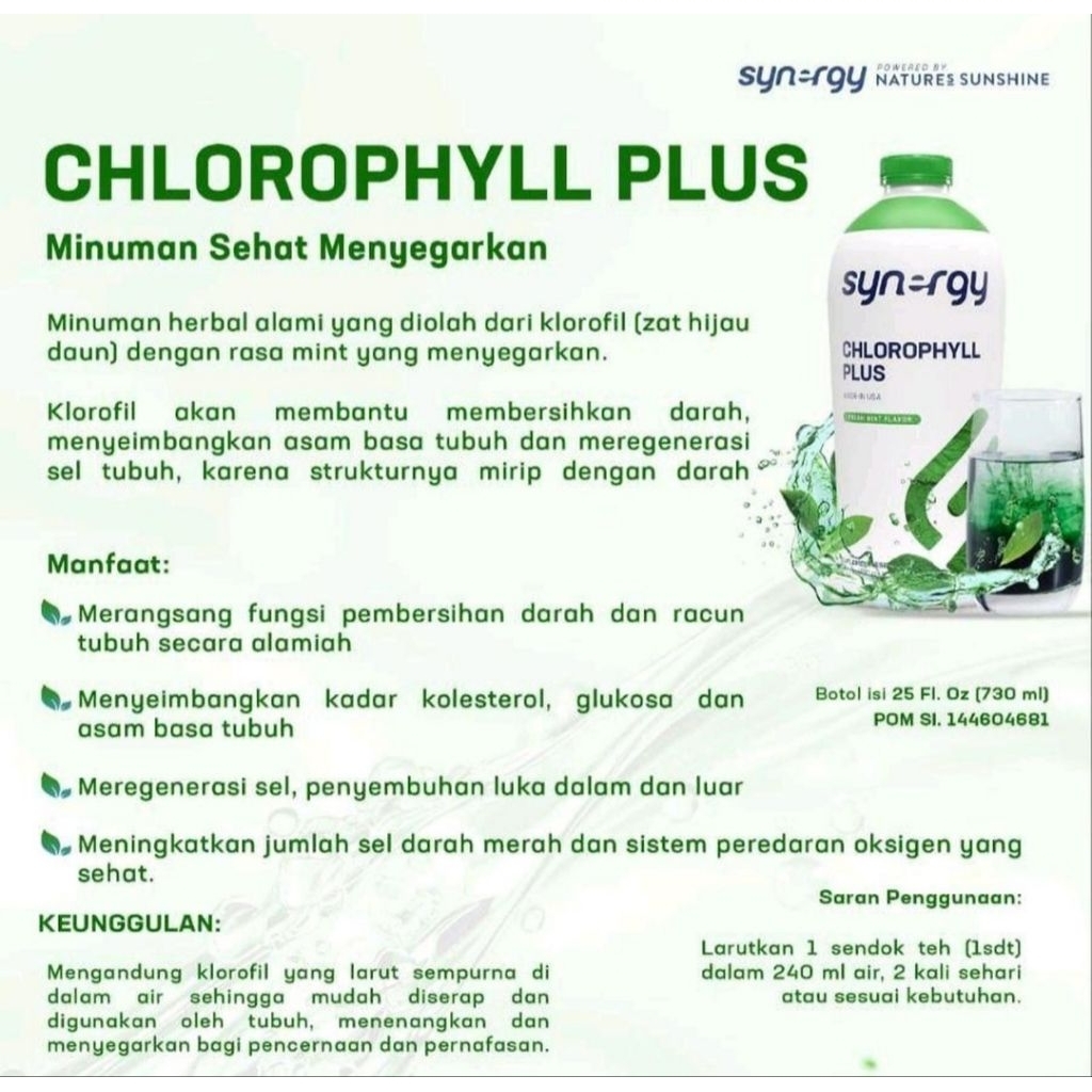 chlorophyll plus synergy