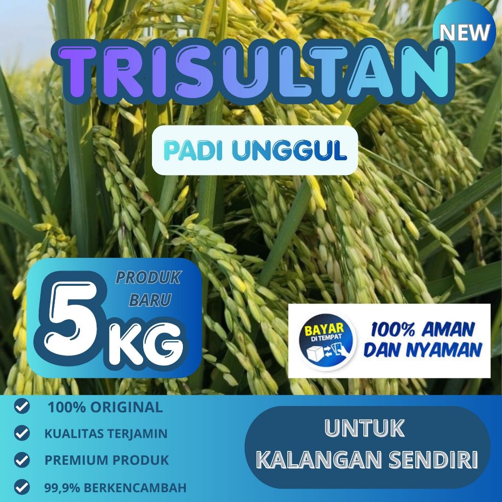 Bibit Padi Unggul Tri Sultan Benih Padi Trisultan 5KG