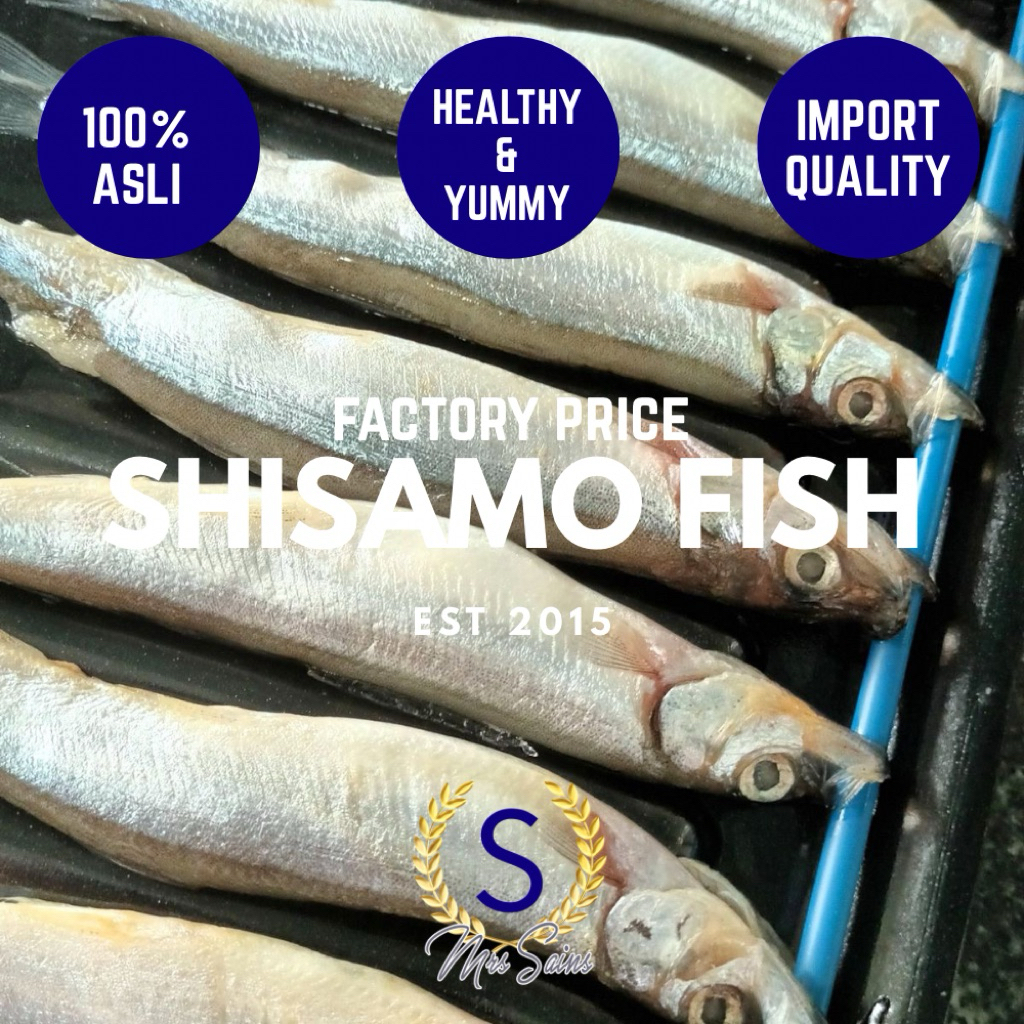 Shisamo fish / Ikan Shisamo isi 8 ekor