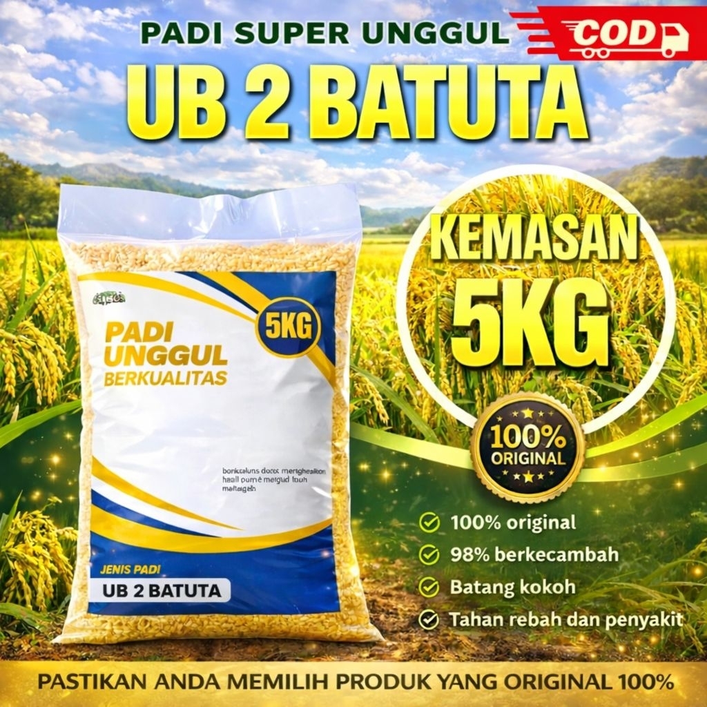 benih padi ub 2 batuta 5kg berkualitas