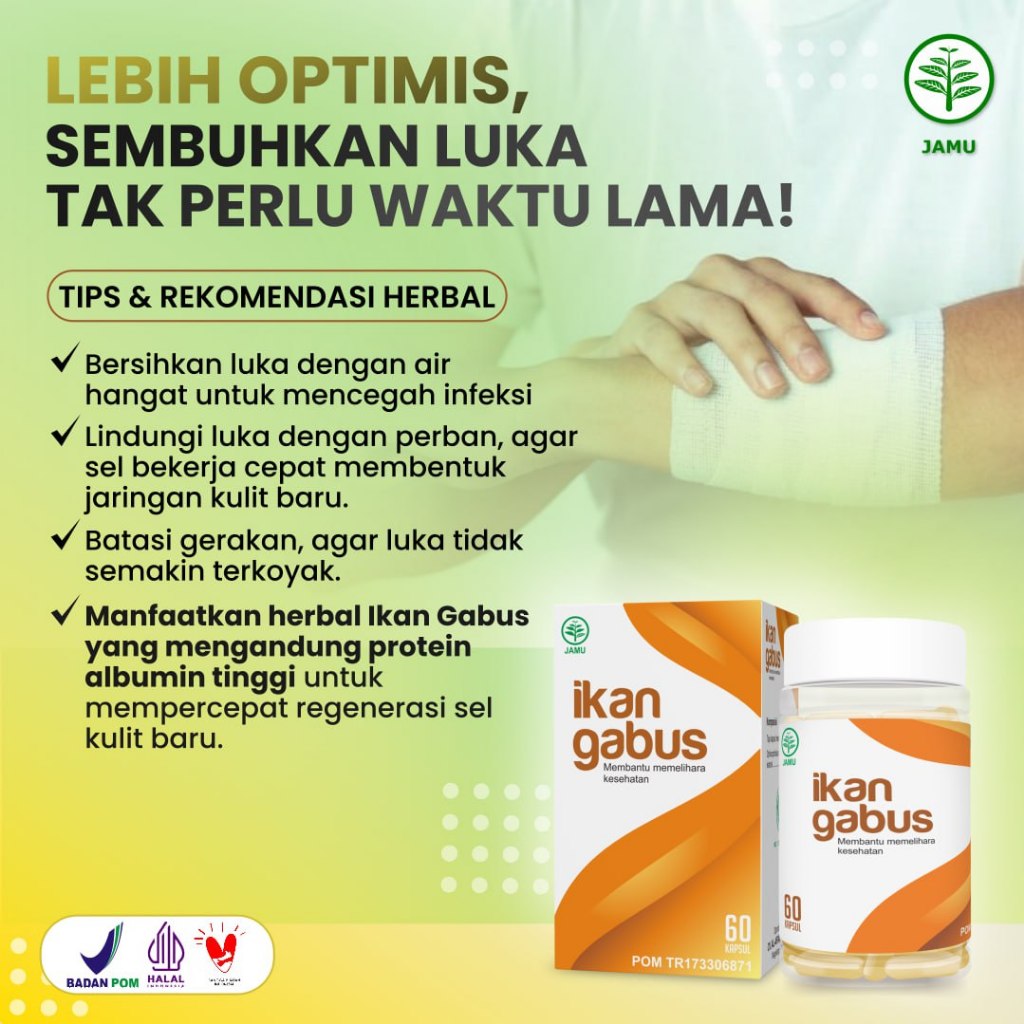 IKAN GABUS Al Afiat - Kapsul Ekstrak Ikan Gabus / Sari Kutuk - Suplemen Protein - Full Albumin