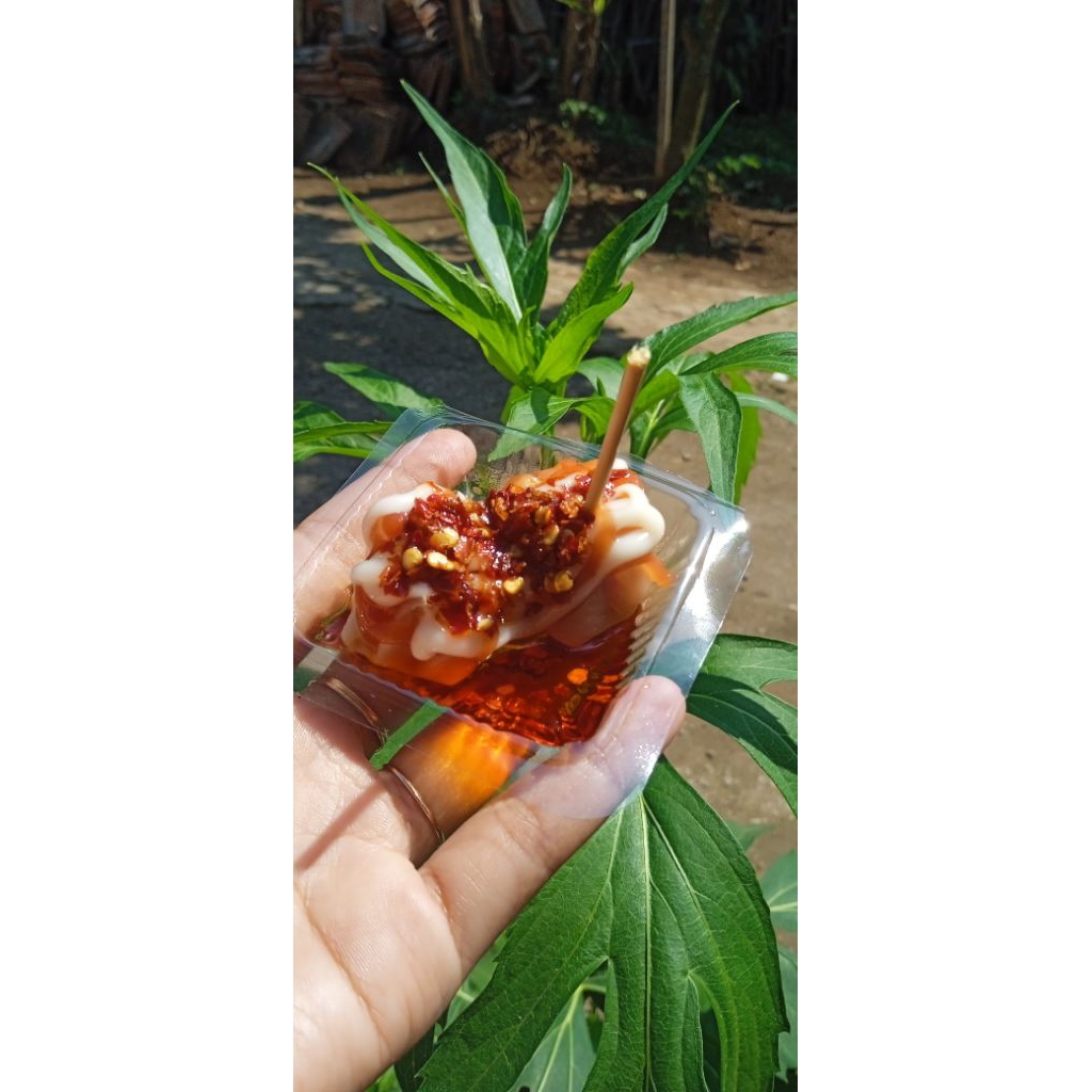 dimsum ayam mini