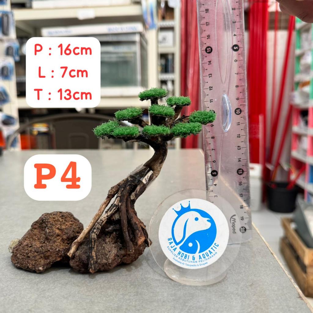 P4 KAYU BONSAI SANTIGI AQUASCAPE SIZE S DEKORASI HIASAN 16CM X 7CM X 13CM