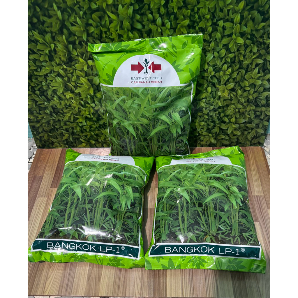 Benih Kangkung Bangkok 1 kg Hidroponik 50.000 sepeda
