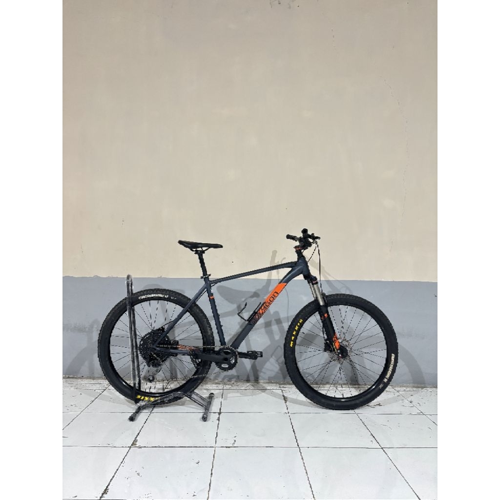 POLYGON XTRADA 6 TAHUN 2019