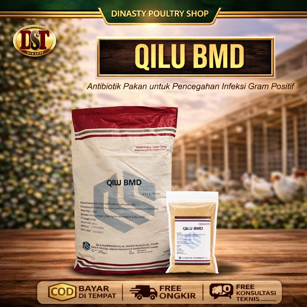 QILU BMD Obat Ayam Premix – Antibiotik Pakan Ayam Broiler Petelur – Pencegah Infeksi Bakteri Gram Po