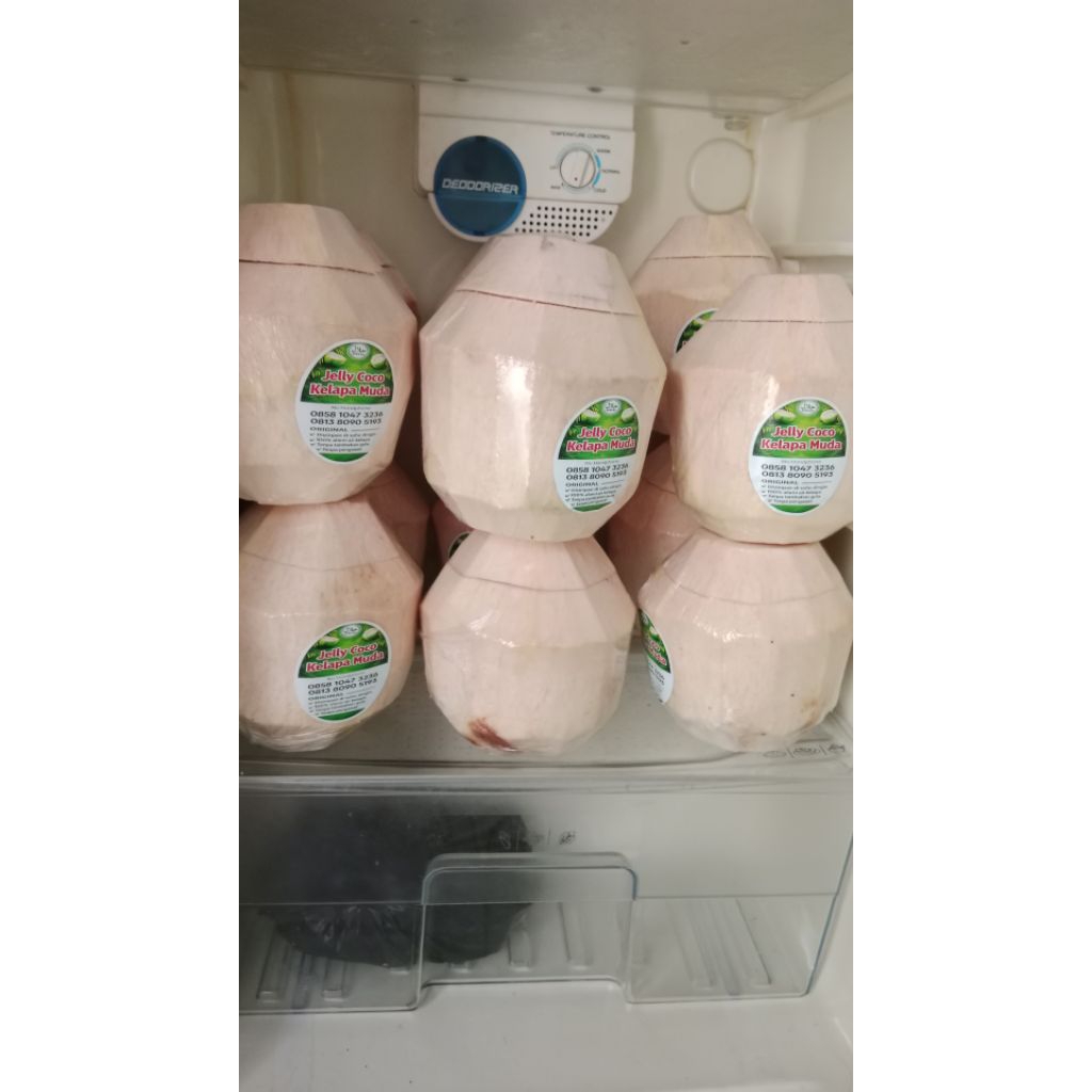 jelly coco kelapa muda