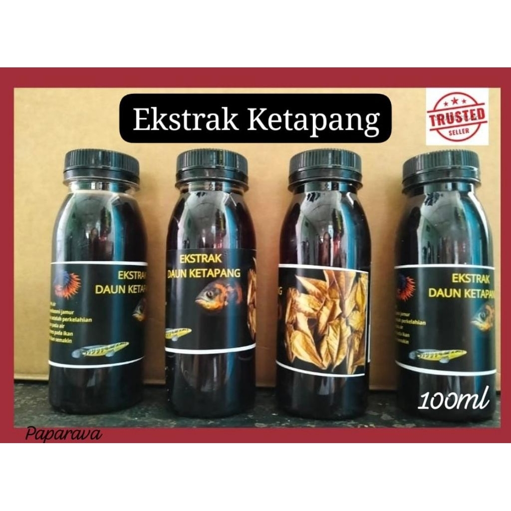 Ekstrak Ketapang Cair 100ml Super Pekat Obat Ikan Cupang Channa Guppy Penurun pH Air Anti Jamur