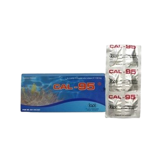 CAL-95 CAL95