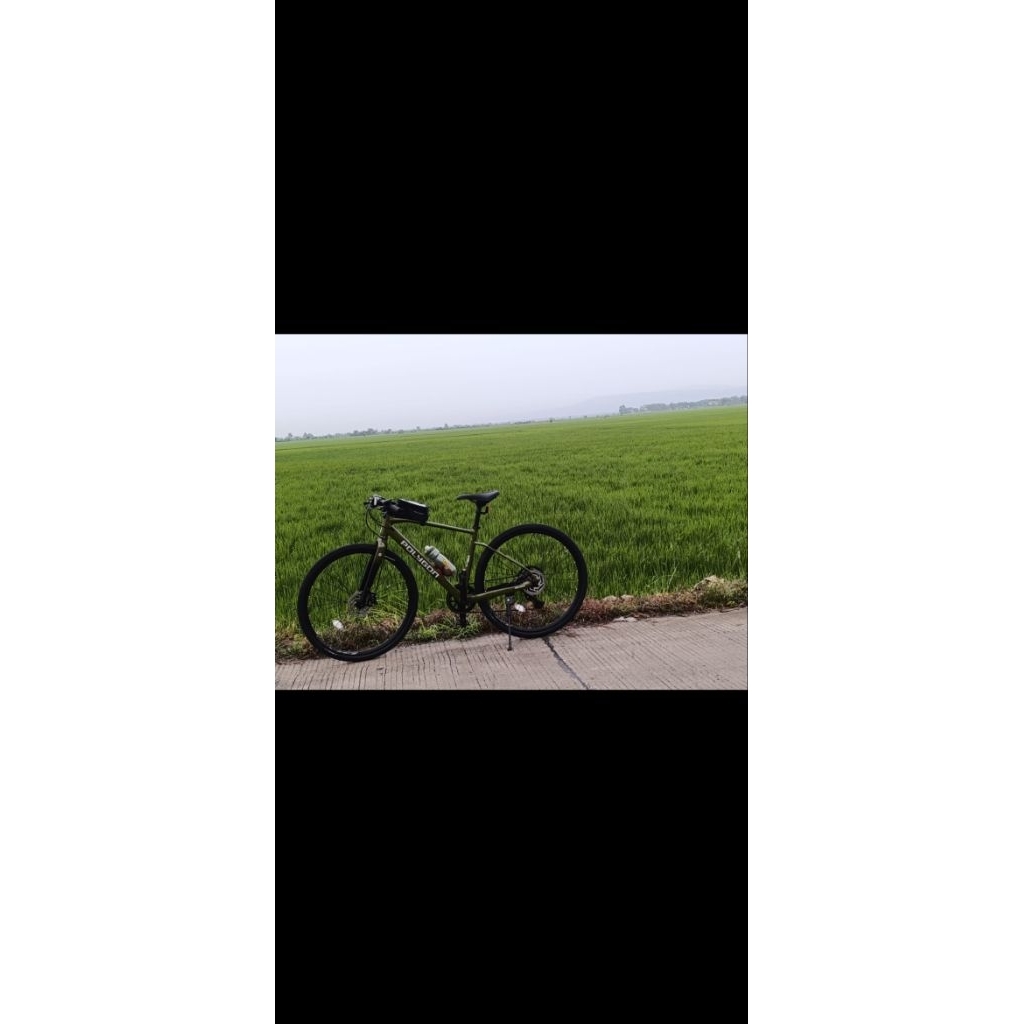 Polygon PATH 3 2025