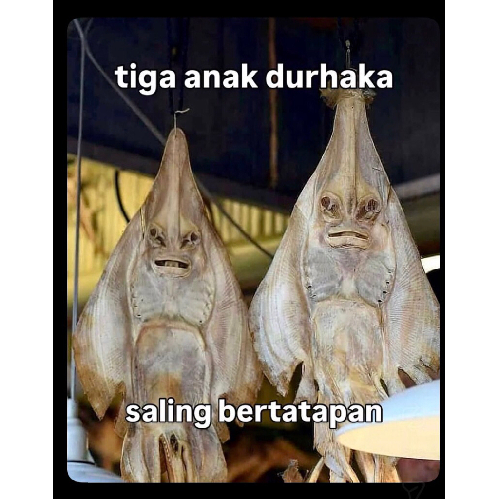 Preloved barang rumah tangga