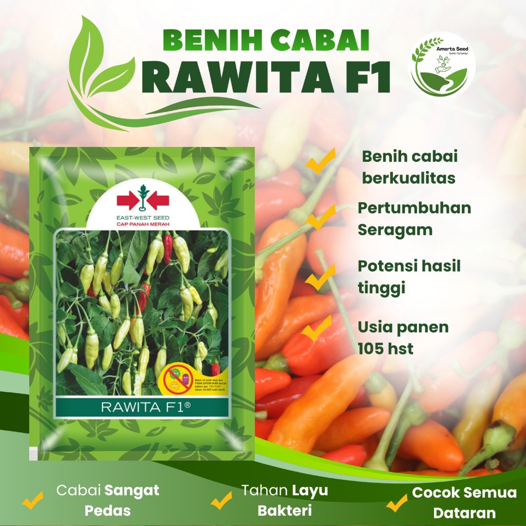 BENIH CABAI RAWITA F1 | Benih Cabai Rawit Super Pedas Produktif