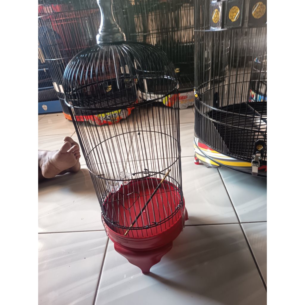 sangkar burung murai bahan adem