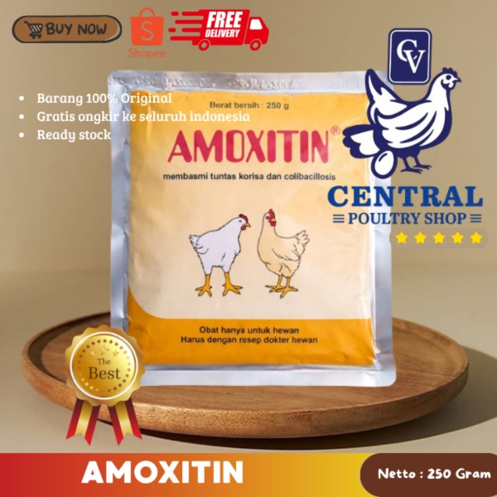 Amoxitin 250 gram