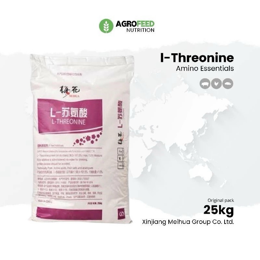 THREONINE L-THREONINE ASAM AMINO ESENSIAL