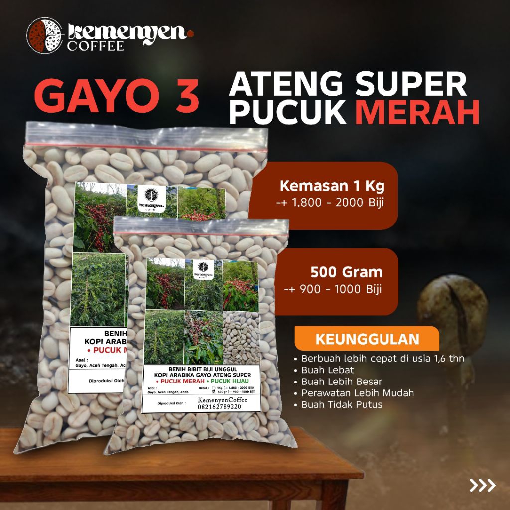 BENIH / BIBIT BIJI UNGGUL KOPI ARABIKA GAYO VARIATES ATENG SUPER PUCUK MERAH