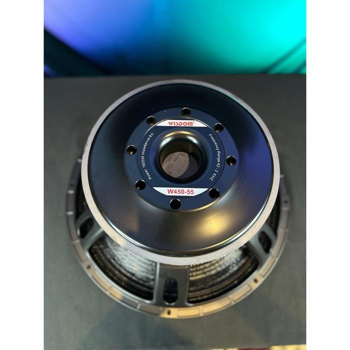 Speaker balap wisdom W450-55 / W450 55 carbon original