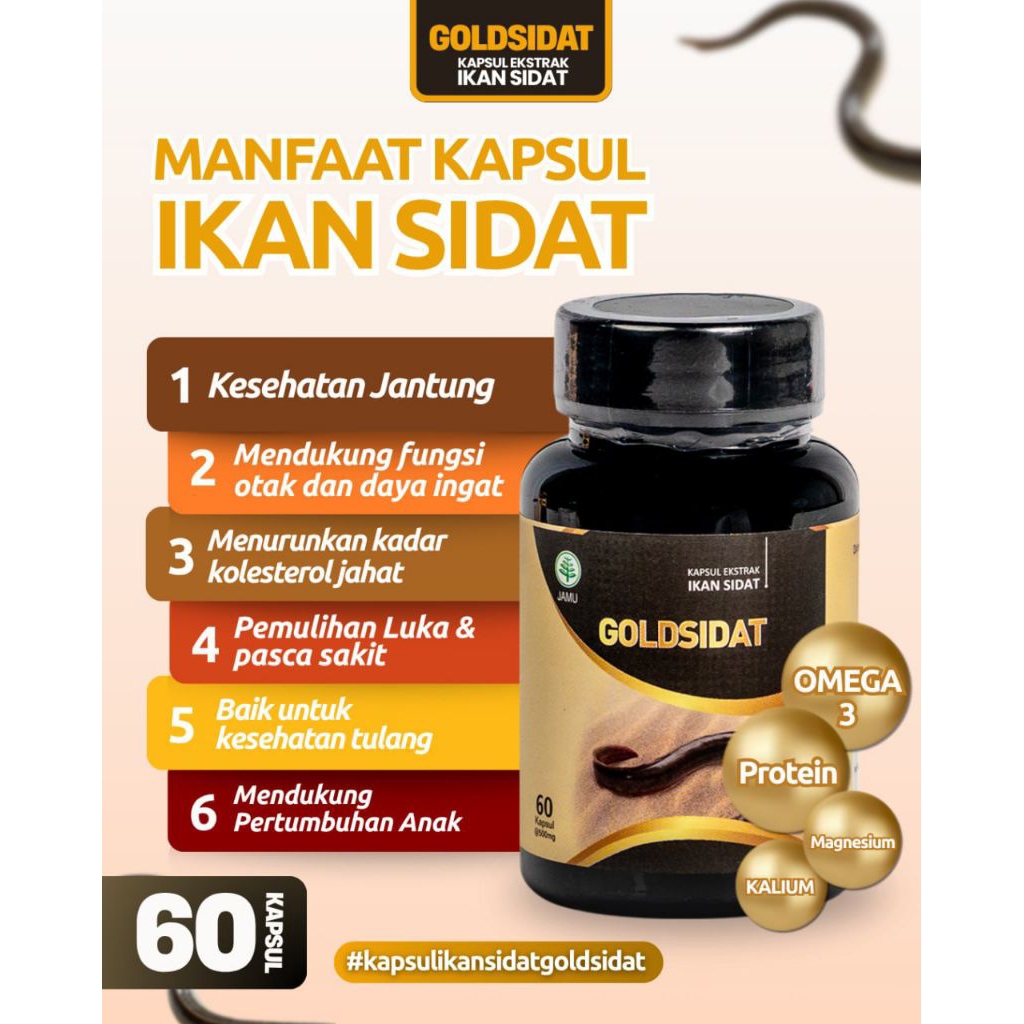 Gold Sidat Kapsul Ekstrak Ikan Sidat