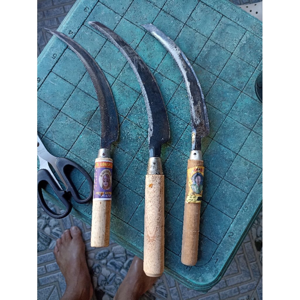 Sabit / Arit untuk panen padi atau rumput sapi. Mungil superntajam