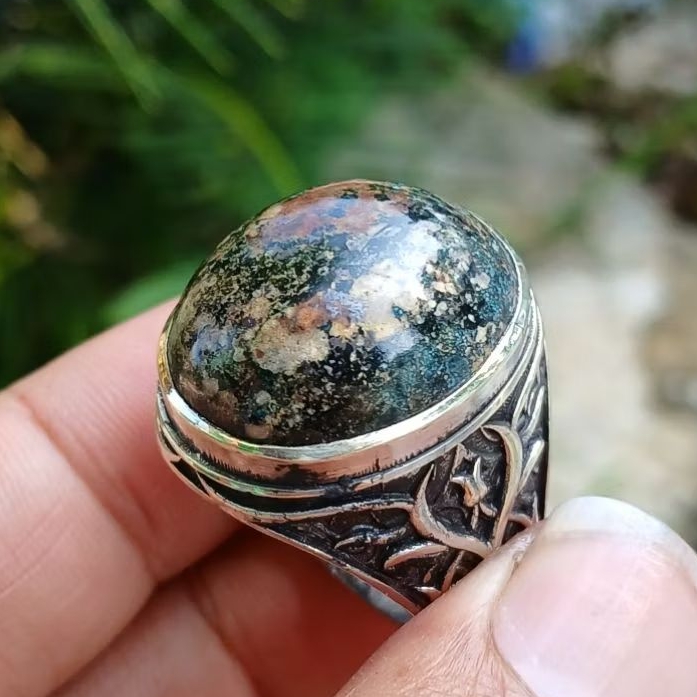 pirus persia hitam mumbul