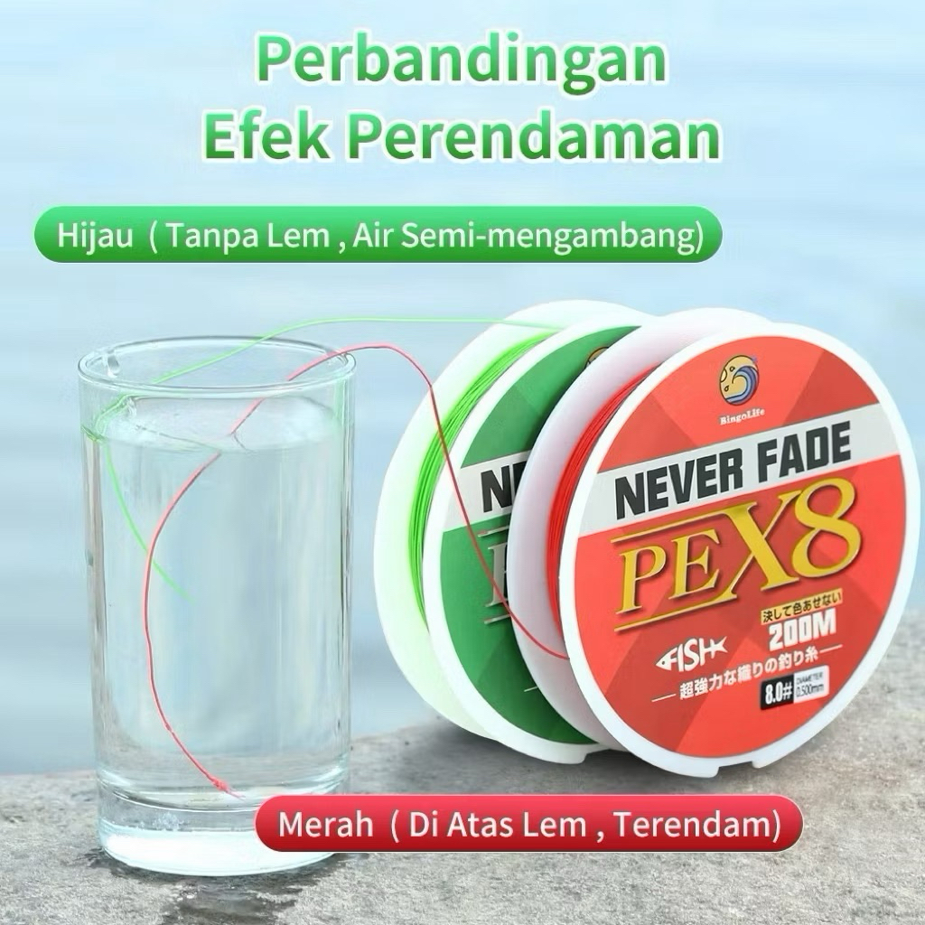 Senar Pancing PE Never Fade X8 200m Bingolife Jepang Kuat Tahan Gesekan