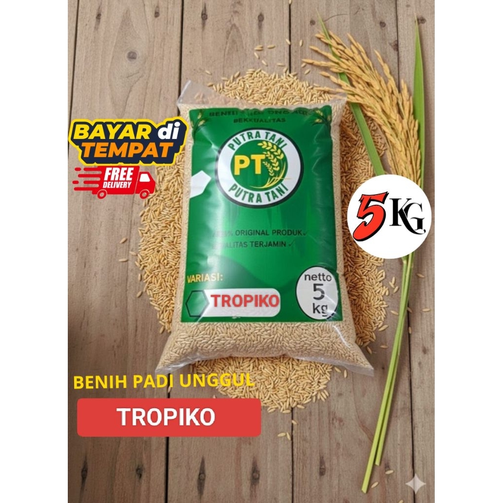 TROPIKO BIBIT PADI UNGGUL BENIH PADI BERKUALITAS PREMIUM KEMASAN 5KG